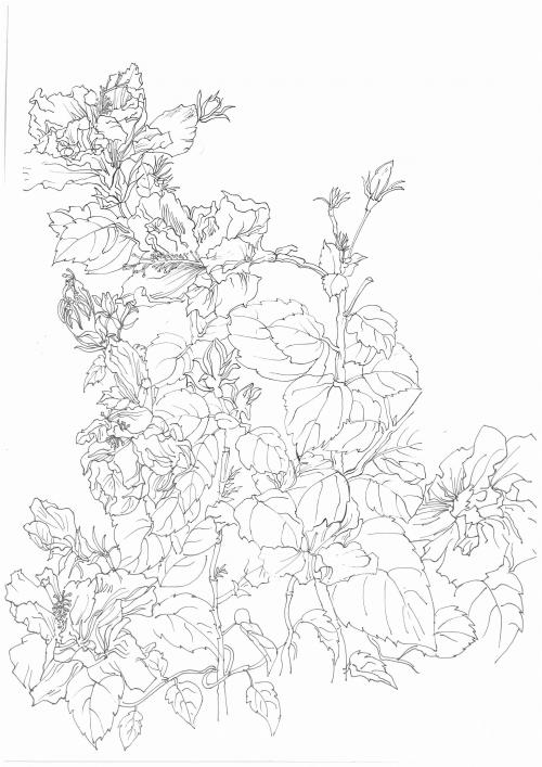 办理俄罗斯护照扫描件